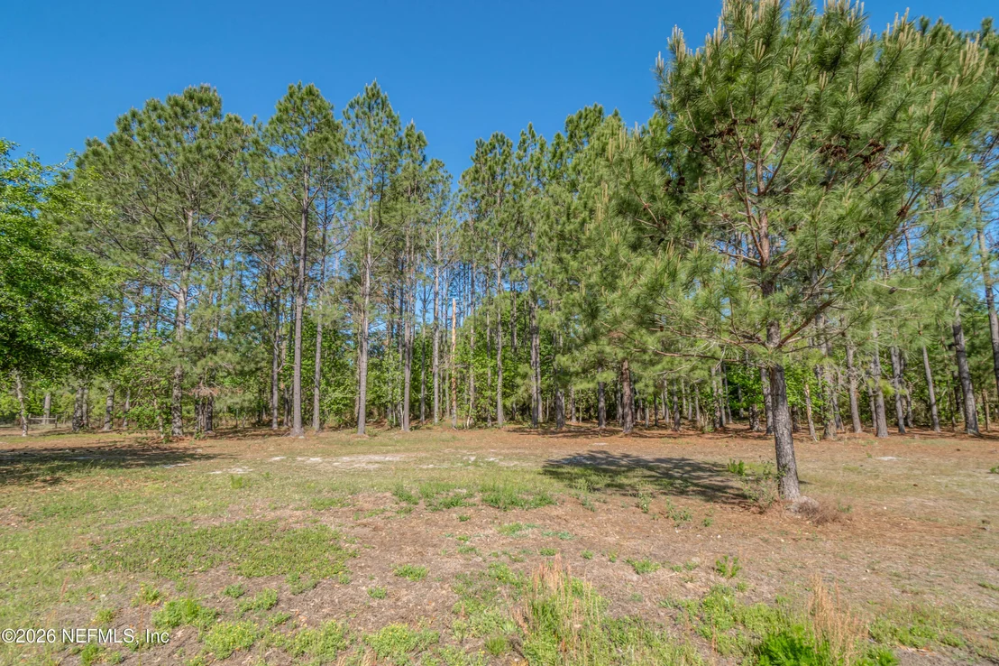 Photo of 8219 MUD LAKE Road