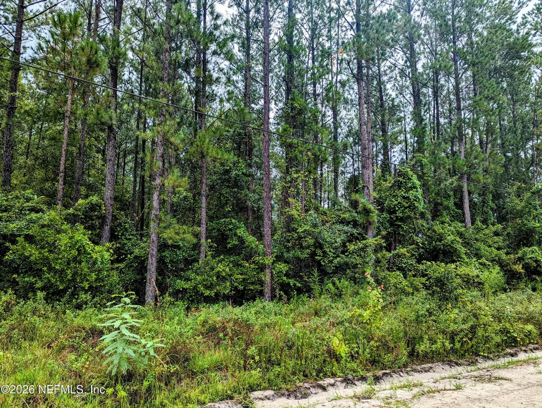 Photo of 4436 LORI LOOP Road