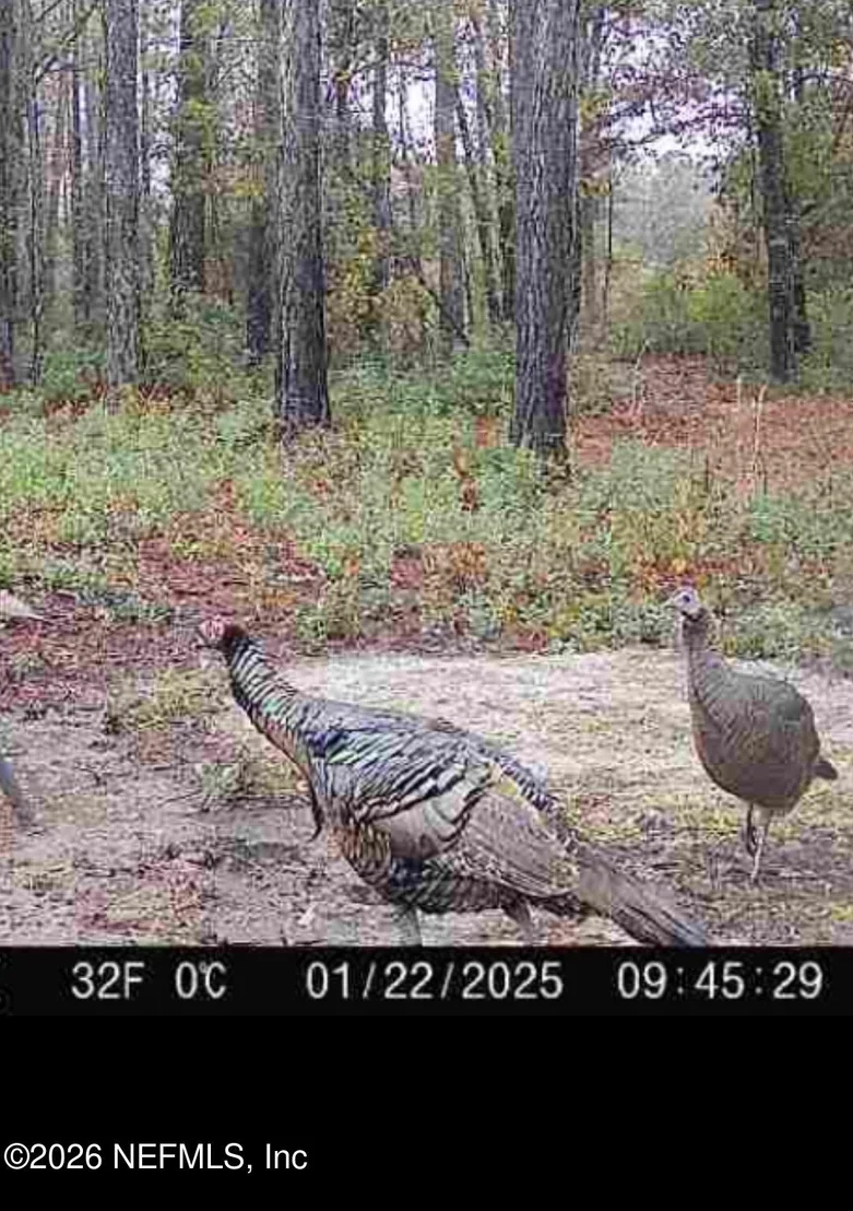 Photo of 9910 W STATE ROAD 100