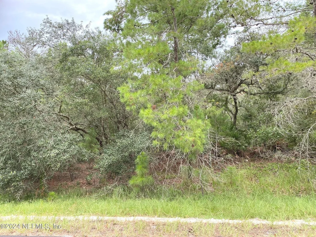 Photo of 118 SPANISH Trail