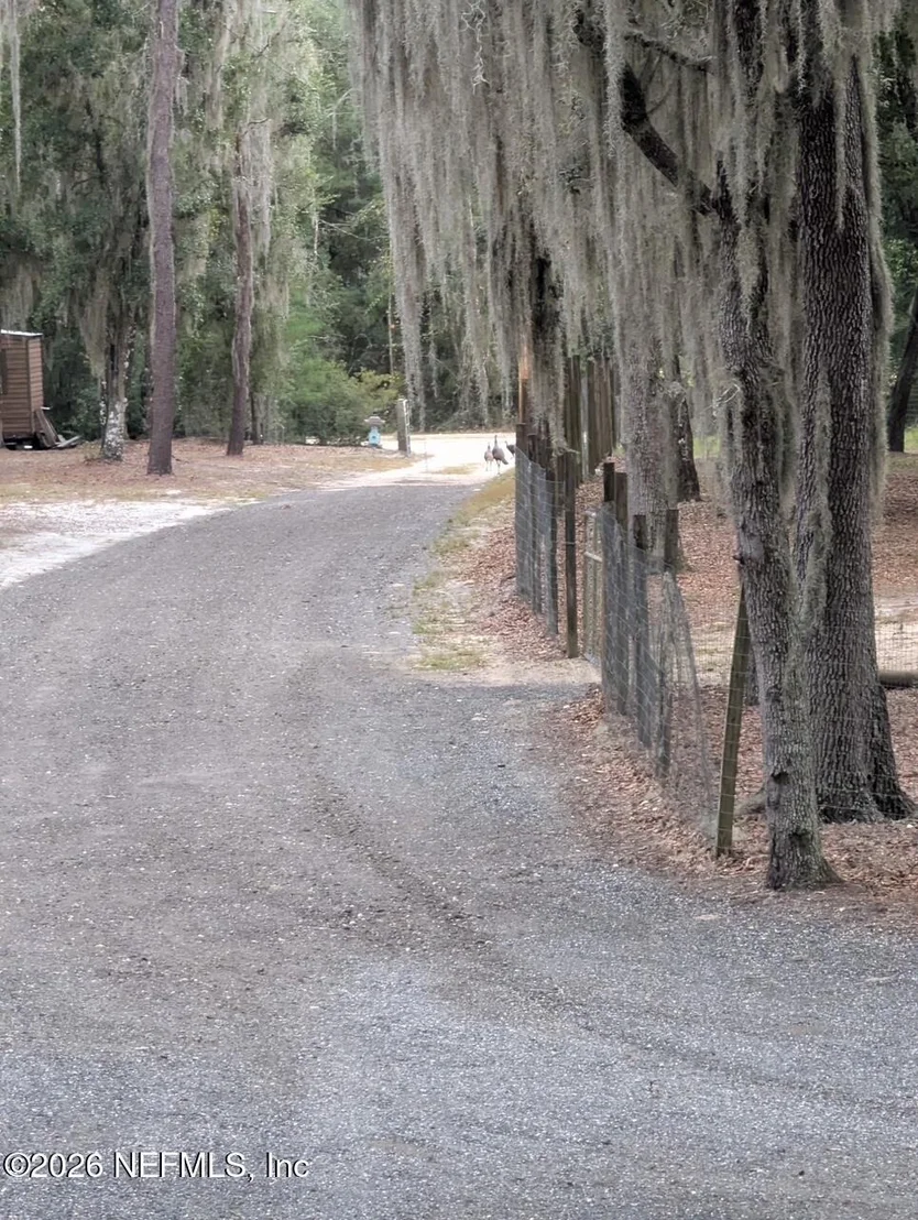 Photo of 126 PALMETTO Trail