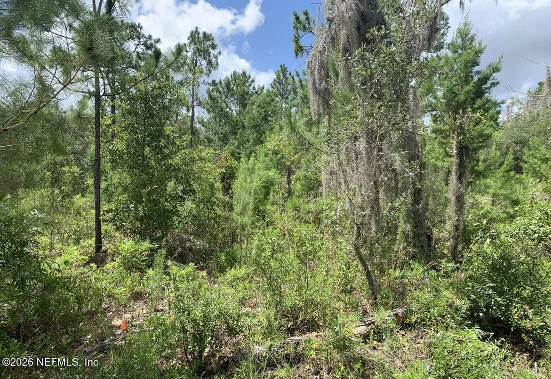 Photo of 403 LILY Trail
