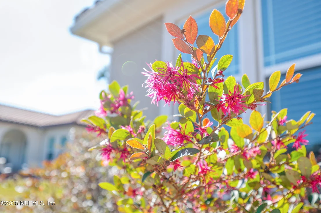 Photo of 115 SPOONBILL POINT Court