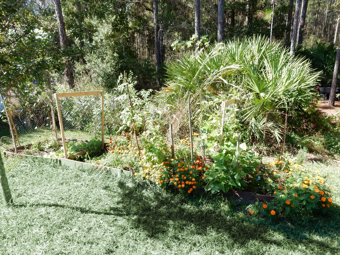 Photo of 65 FEVER HAMMOCK Drive