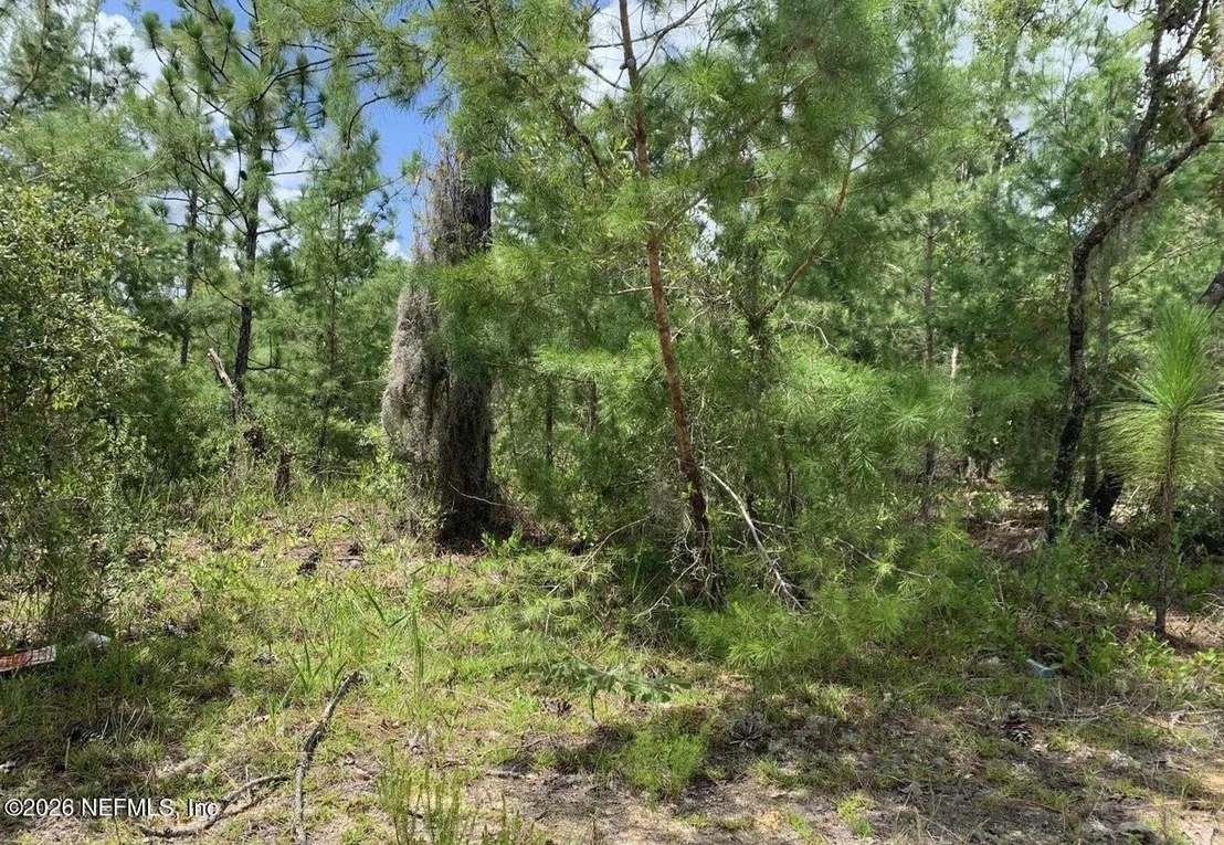 Photo of 403 LILY Trail