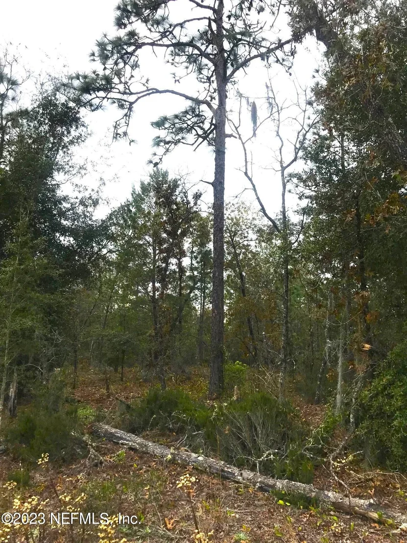 Photo of LOTS 33&34 MONROE Street
