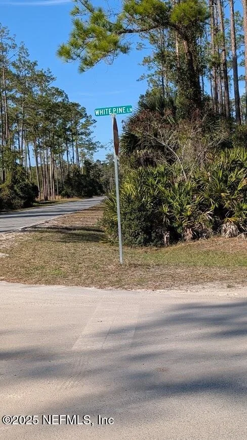 Photo of 113 WHITE PINE Lane