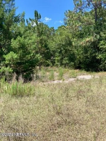 Photo of 138 COUNTY ROAD 309