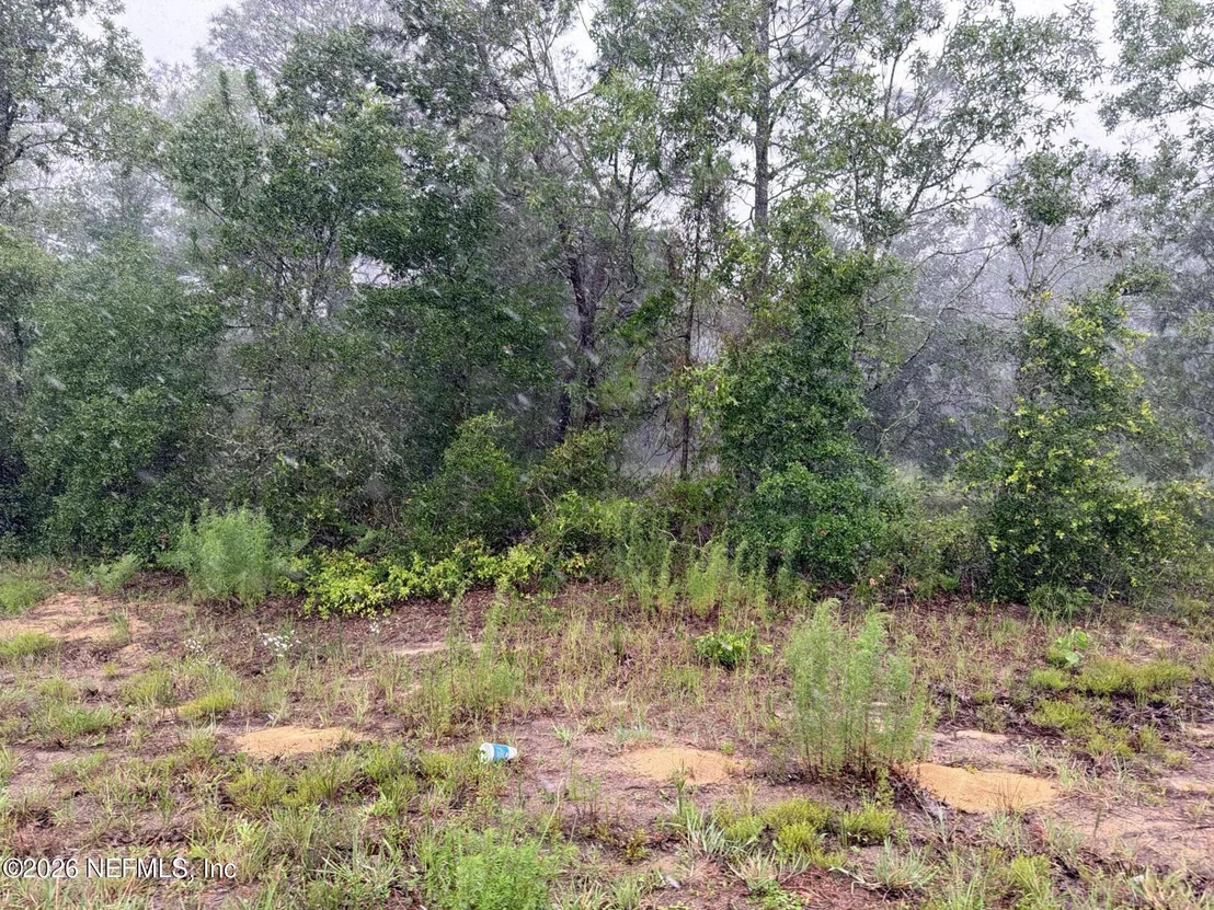 Photo of 5628 COUNTY ROAD 214