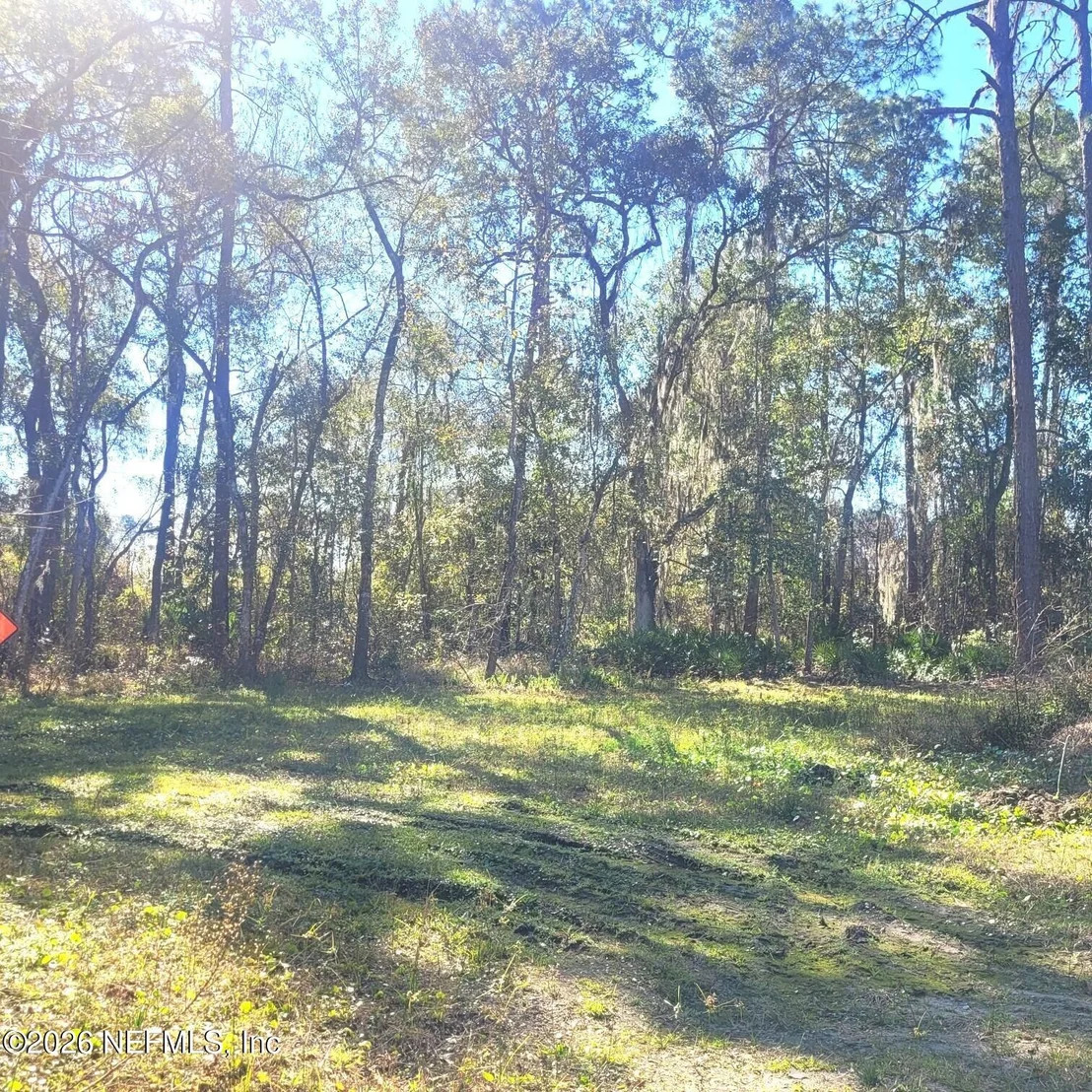 Photo of 000 MOSS Drive