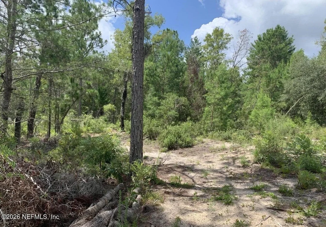 Photo of 403 LILY Trail