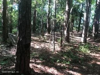 Photo of 0 FLAGLER Boulevard