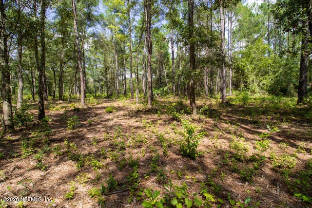 Photo of 4410 LORI LOOP Road
