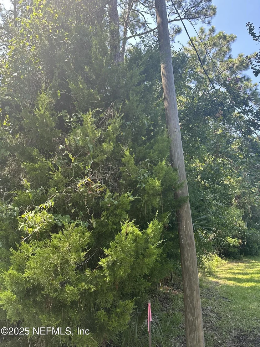 Photo of 866 W 9TH Street