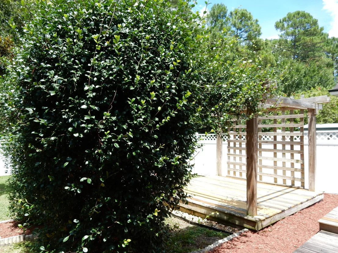 Photo of 968 N LILAC Loop