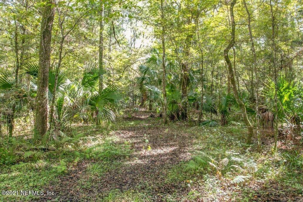 Photo of 157 PINE TREE Road