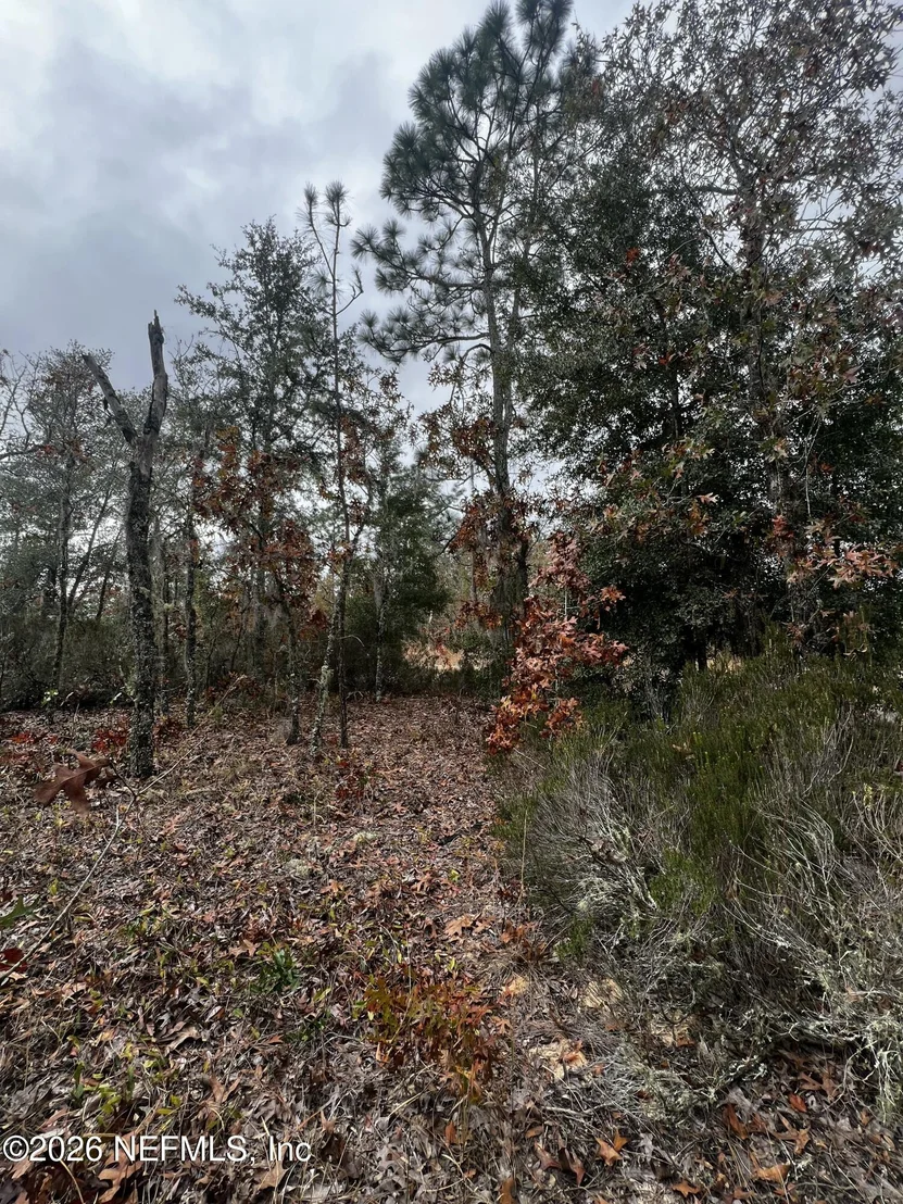 Photo of 307 LEMON Street