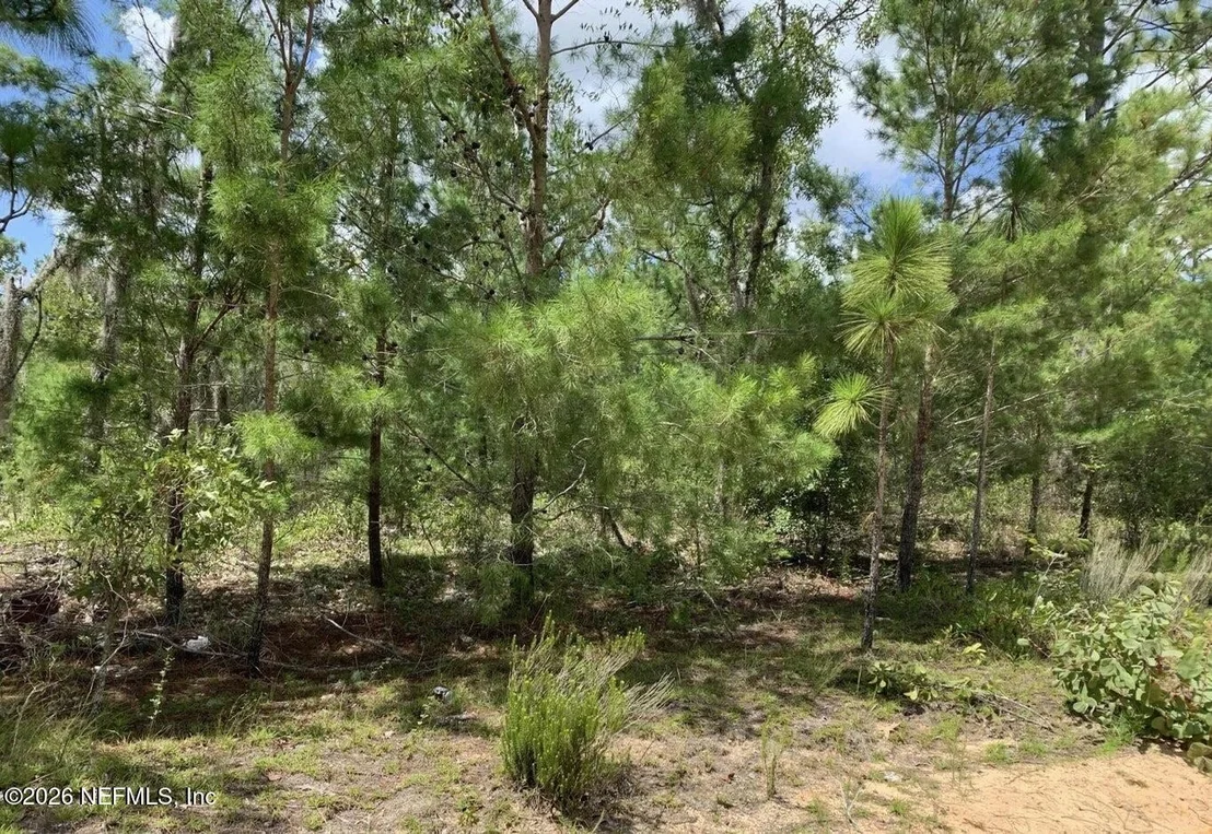 Photo of 403 LILY Trail