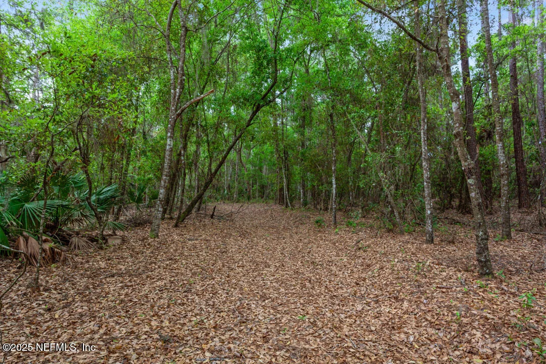 Photo of 1017 OLD GAINESVILLE Highway