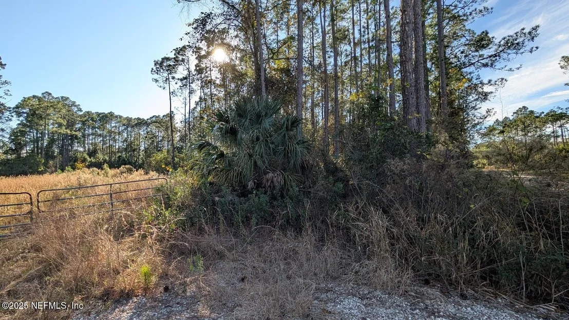 Photo of 113 WHITE PINE Lane