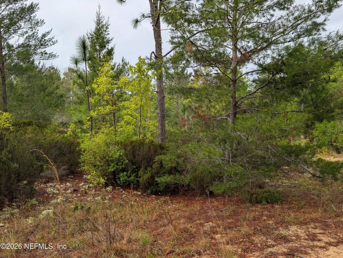 Photo of LOT 34- 35 MALTAS Avenue