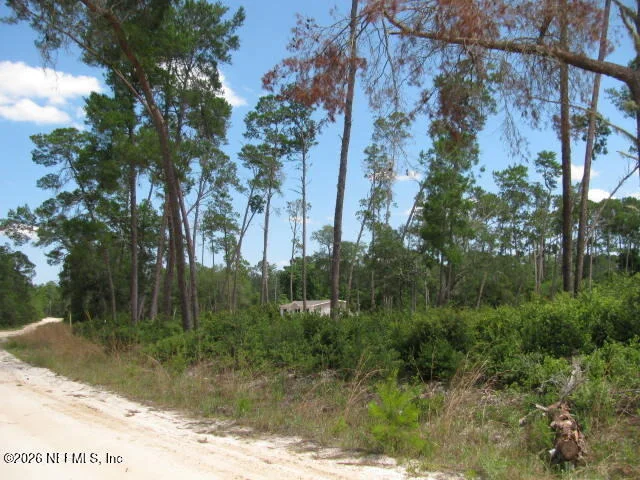 Photo of 115 SANDPIPER Lane