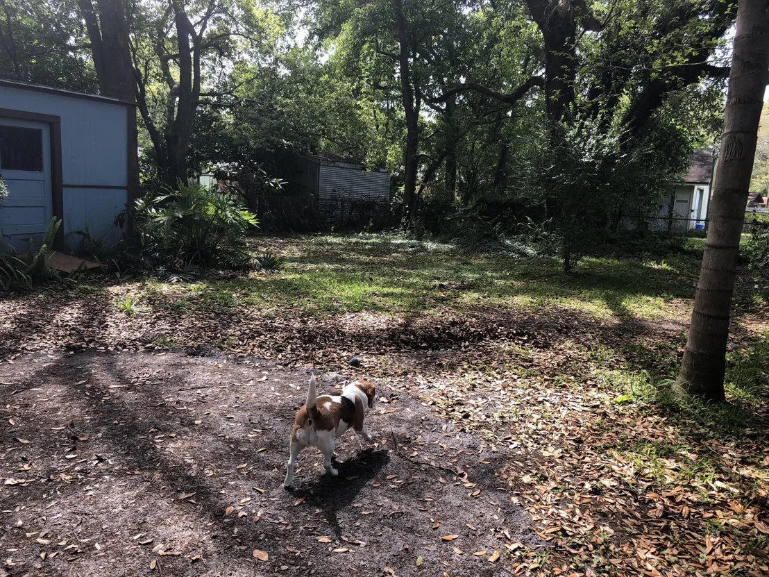 Photo of 6246 MERCADO Drive