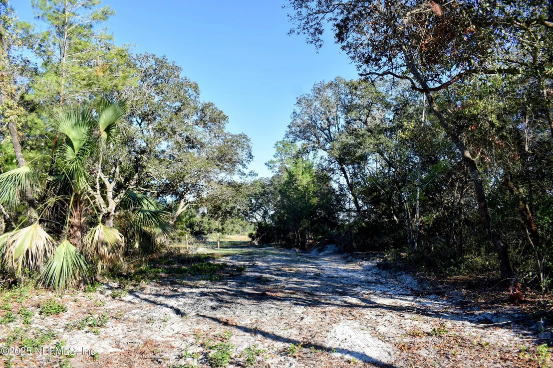 Photo of 96 BRIDLE Drive