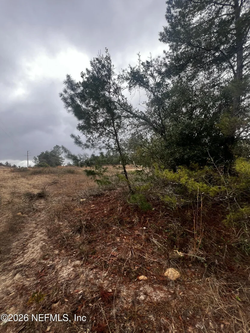 Photo of 226 RIDGE Road