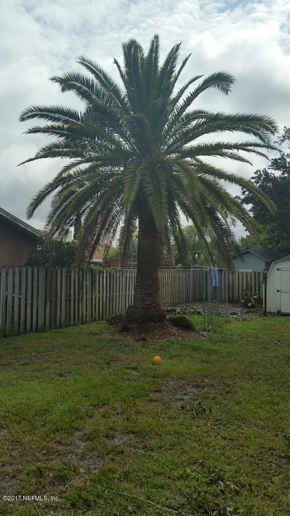 Photo of 13203 DAMRON Place