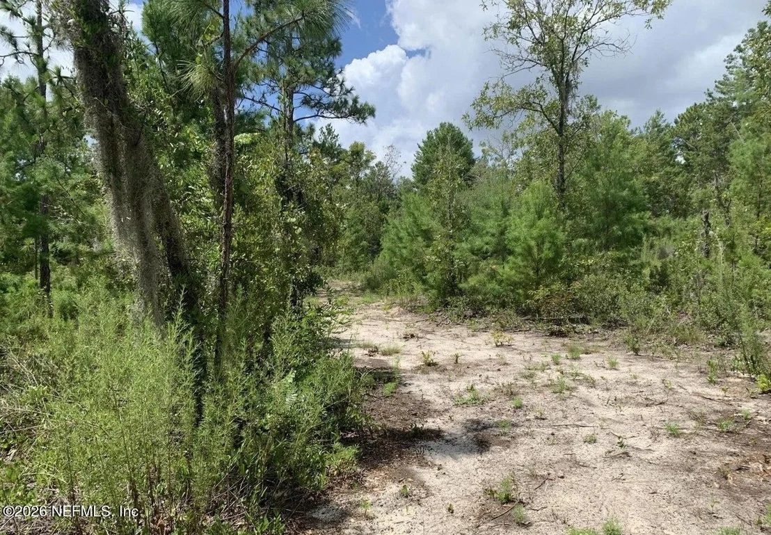 Photo of 403 LILY Trail