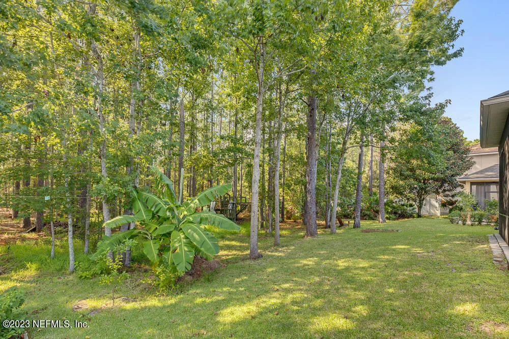 Photo of 544 CANDLEBARK Drive