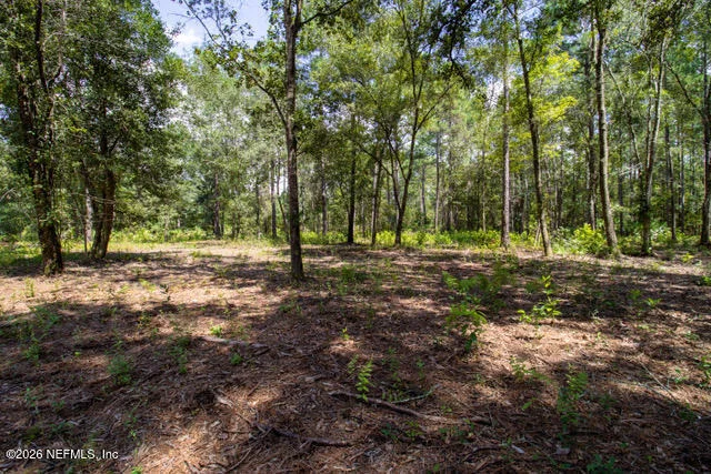 Photo of 4410 LORI LOOP Road