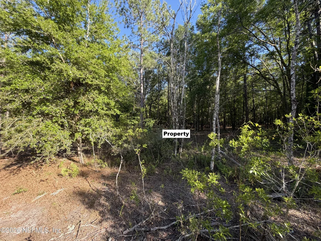 Photo of 329 CHIPOLA Drive