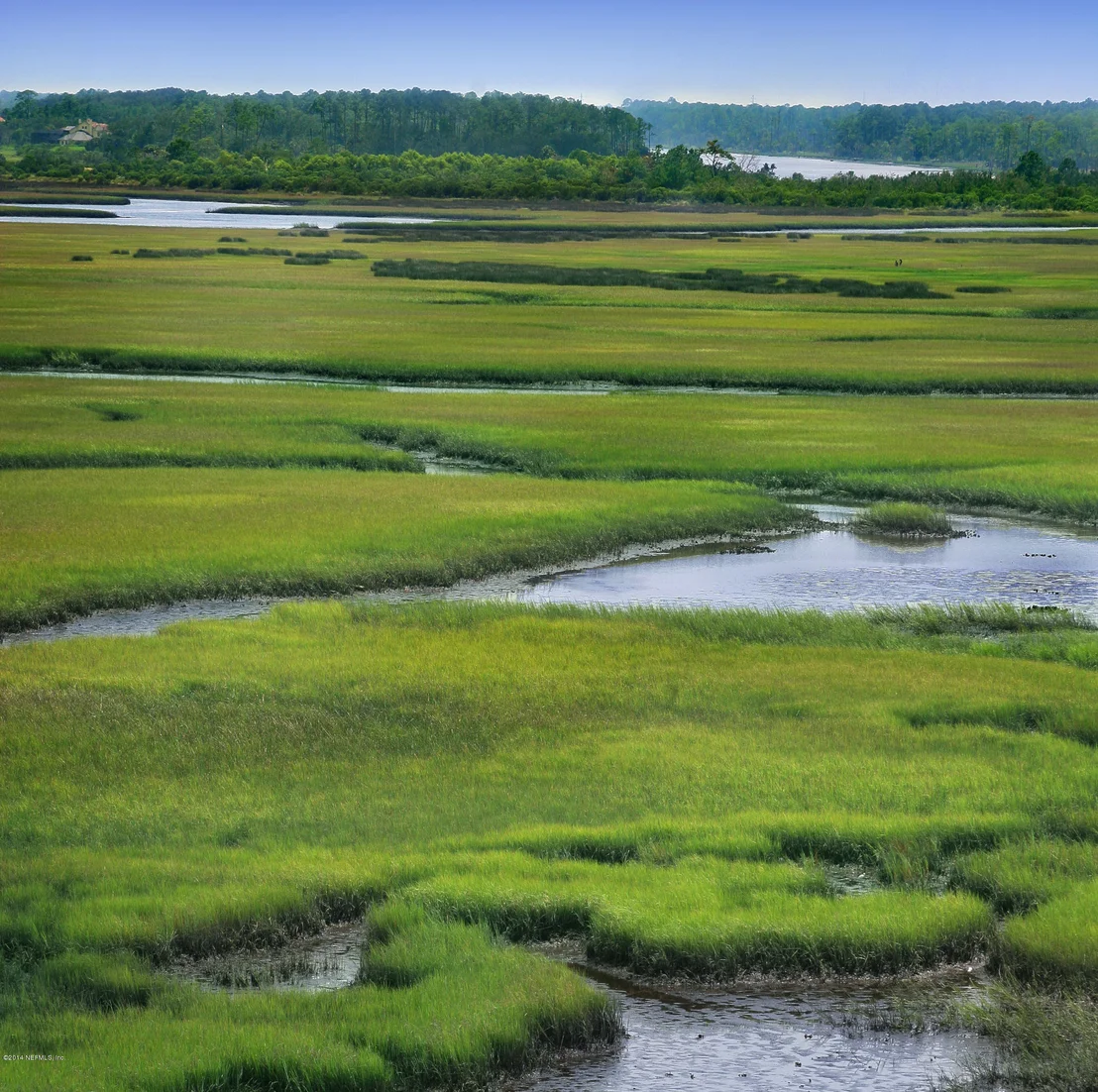 Photo of 2016 Marye Brant Loop N
