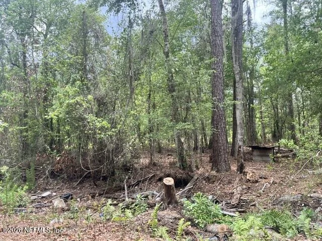 Photo of 10891 NW COUNTY ROAD 229