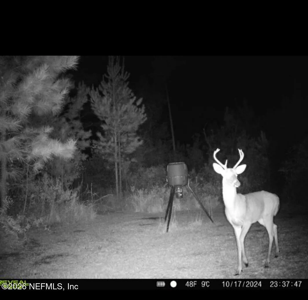 Photo of 9910 W STATE ROAD 100