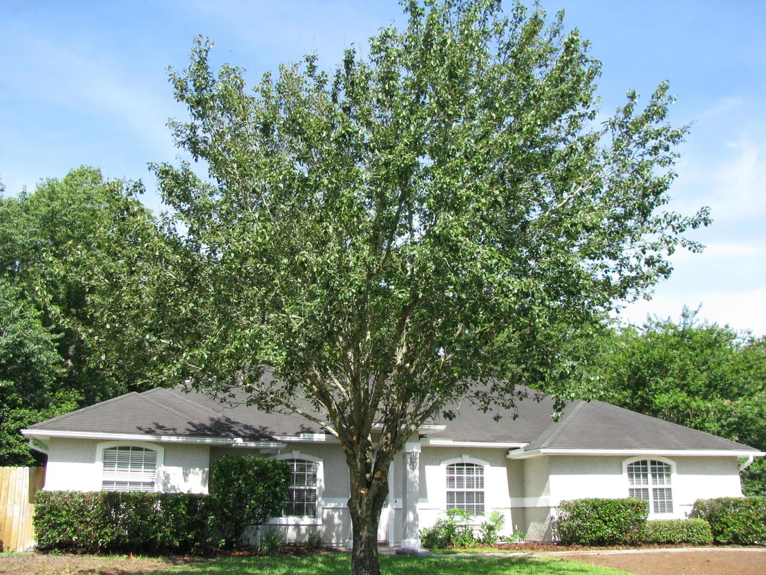 Photo of 1616 SEDGWICK Drive