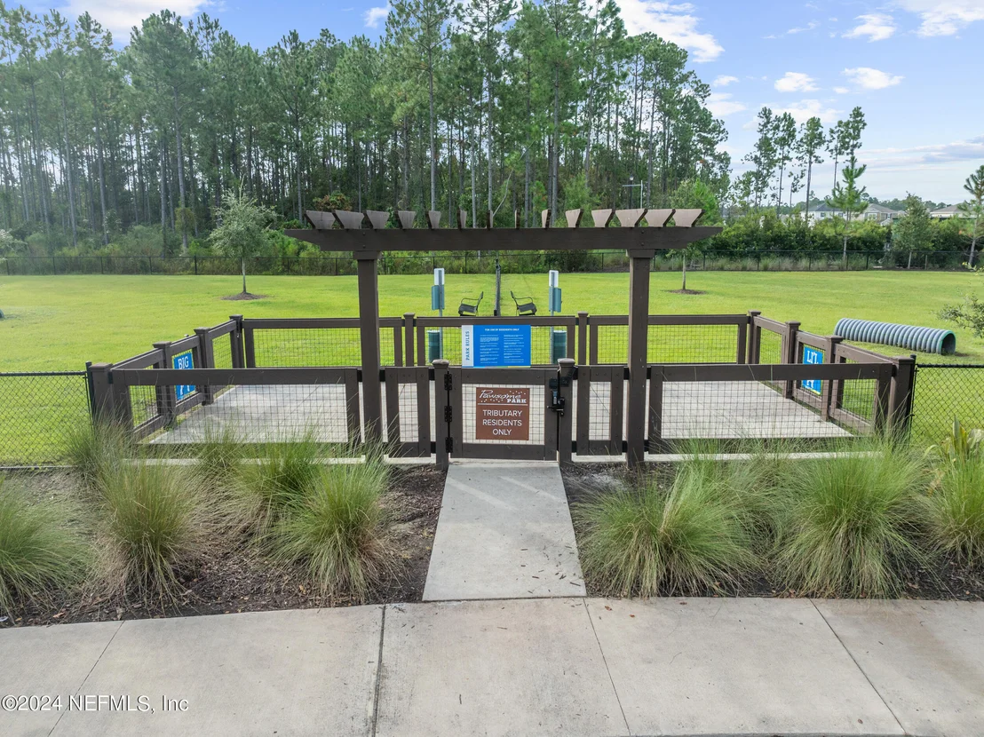 Photo of 75262 PLUMBAGO Trace