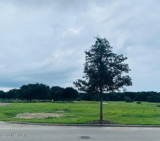 Photo of 31972 RED TAIL Boulevard