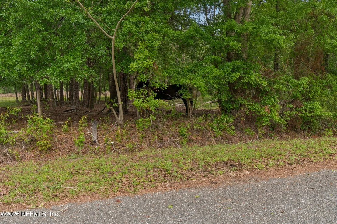 Photo of 18098 WELLS Road