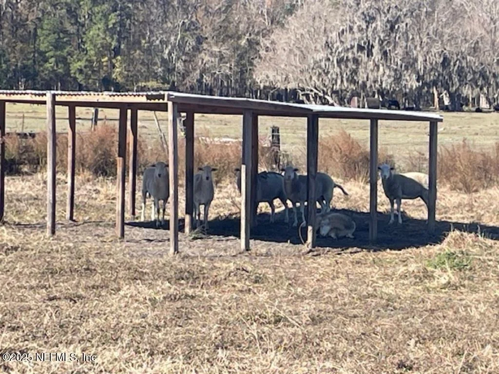 Photo of 14014 LEM TURNER Road