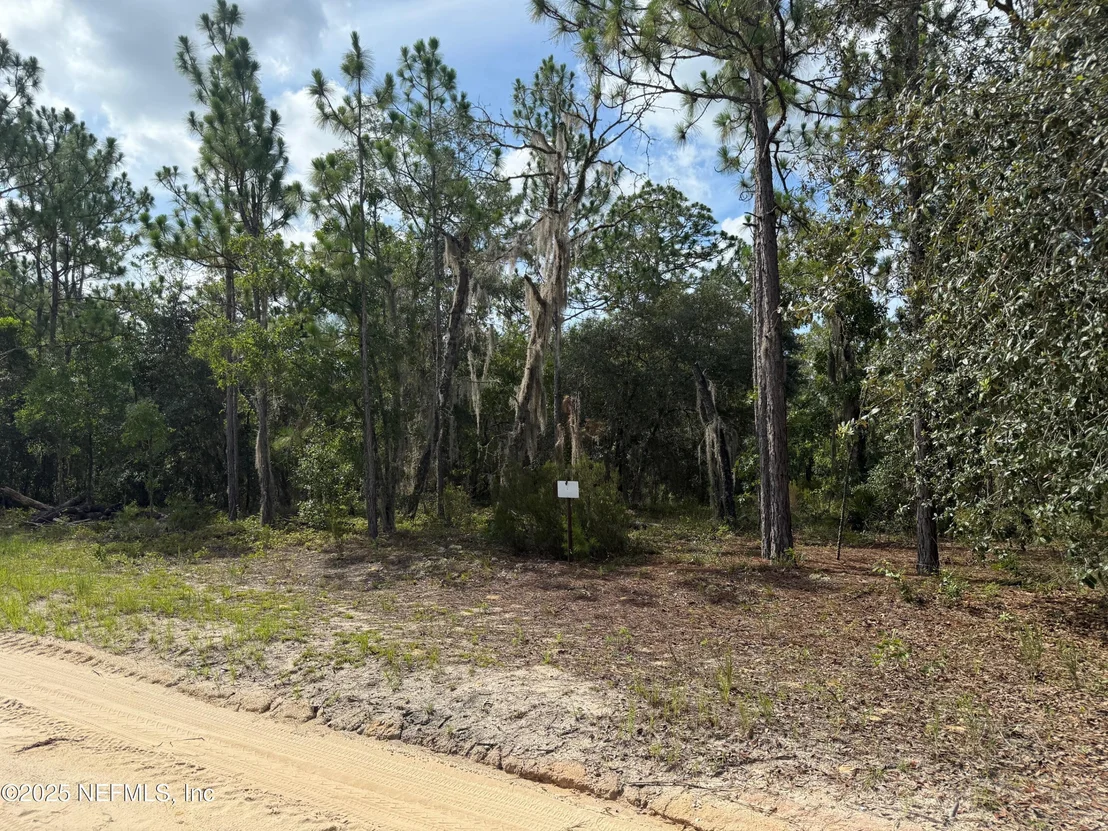 Photo of 151 LONG BRANCH Trail