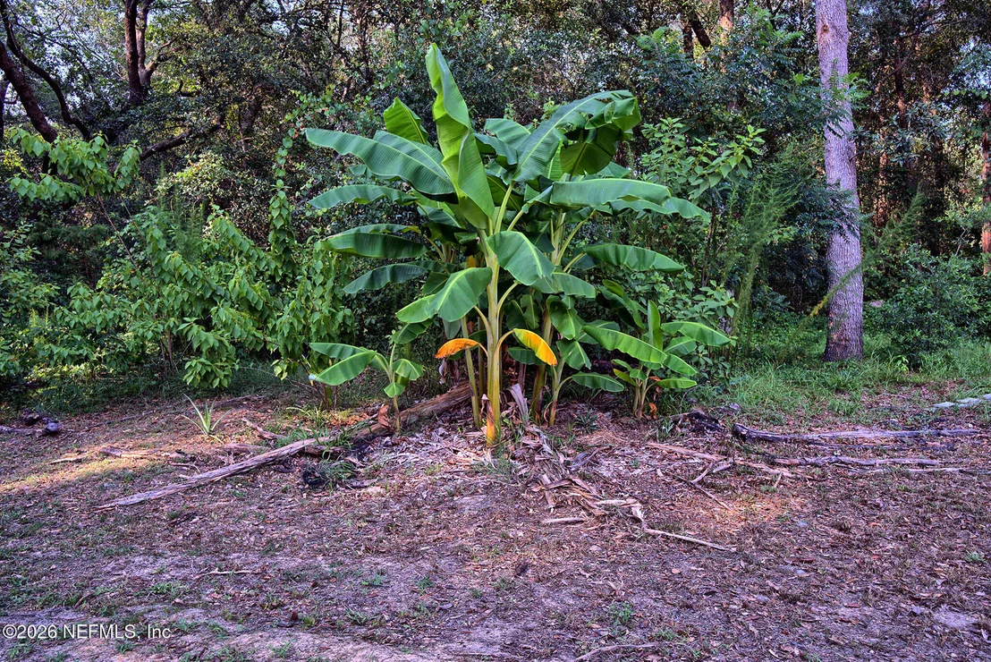 Photo of 117 GAS EASEMENT Road