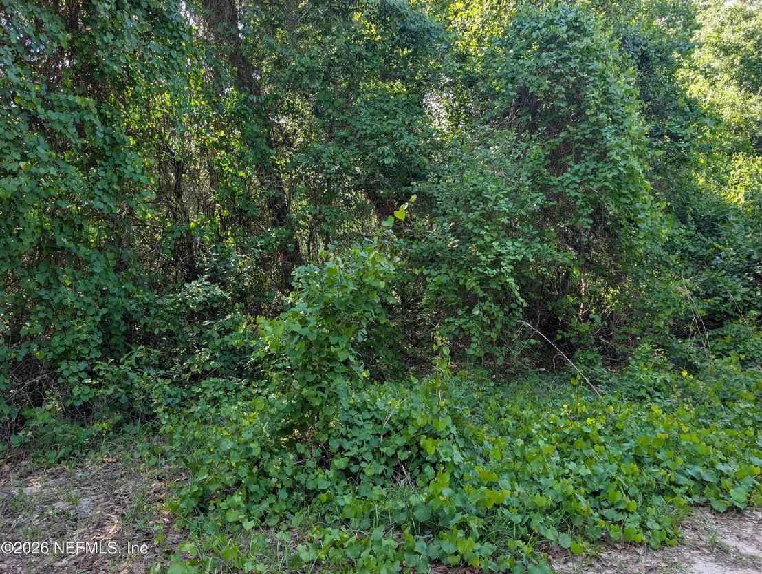Photo of 5662 CARIBBEAN Circle