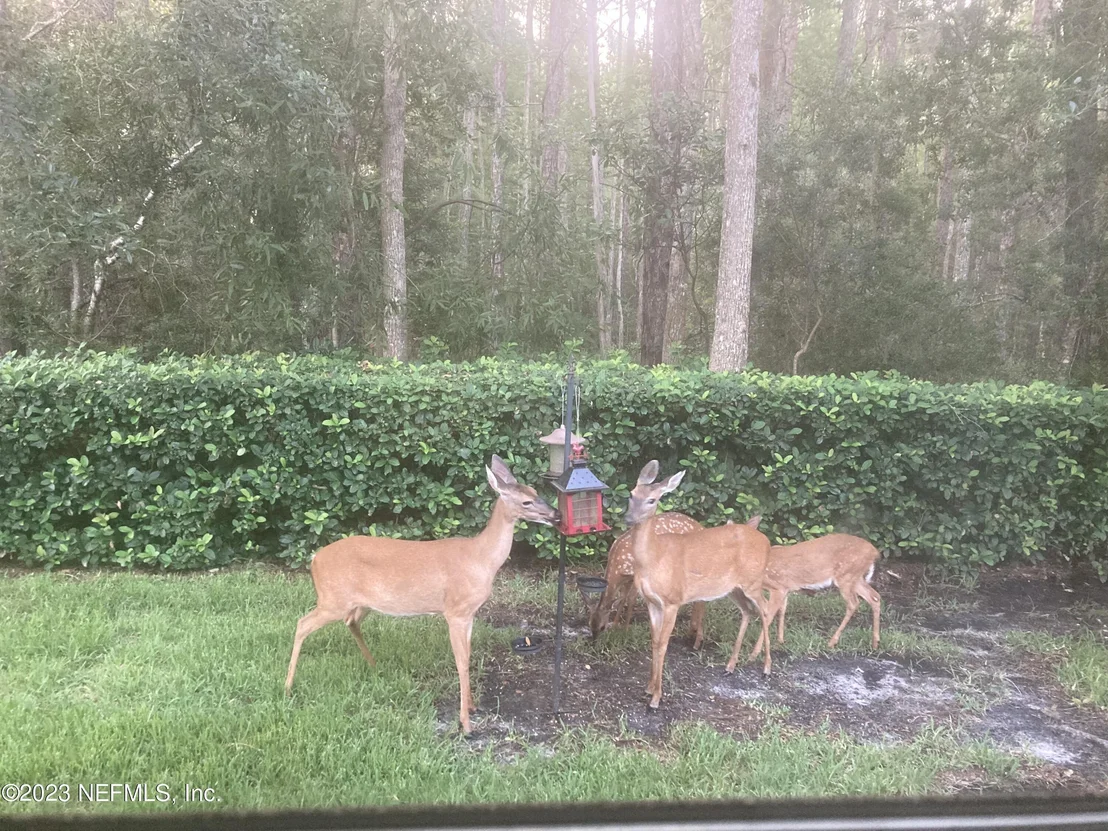 Photo of 1016 BECKINGHAM Drive