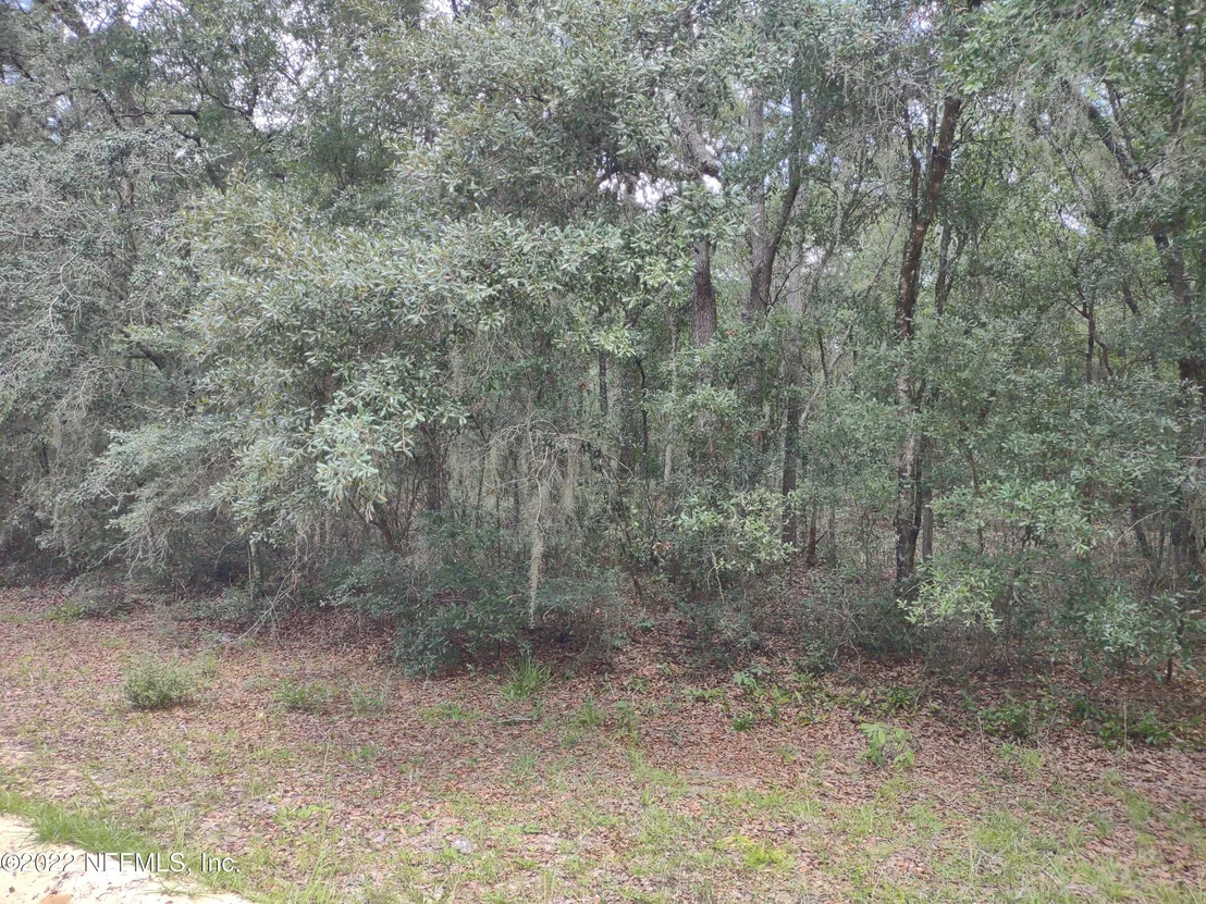 Photo of 0040 BRETT Avenue