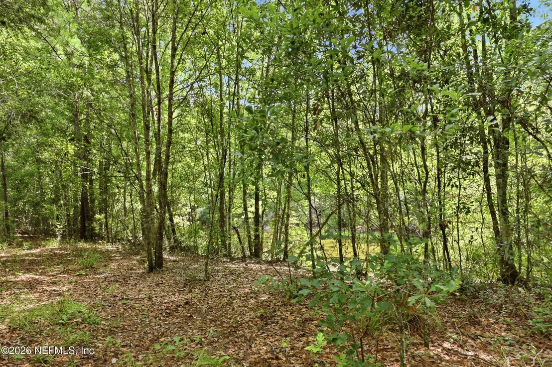 Photo of 143 PINE TREE Road