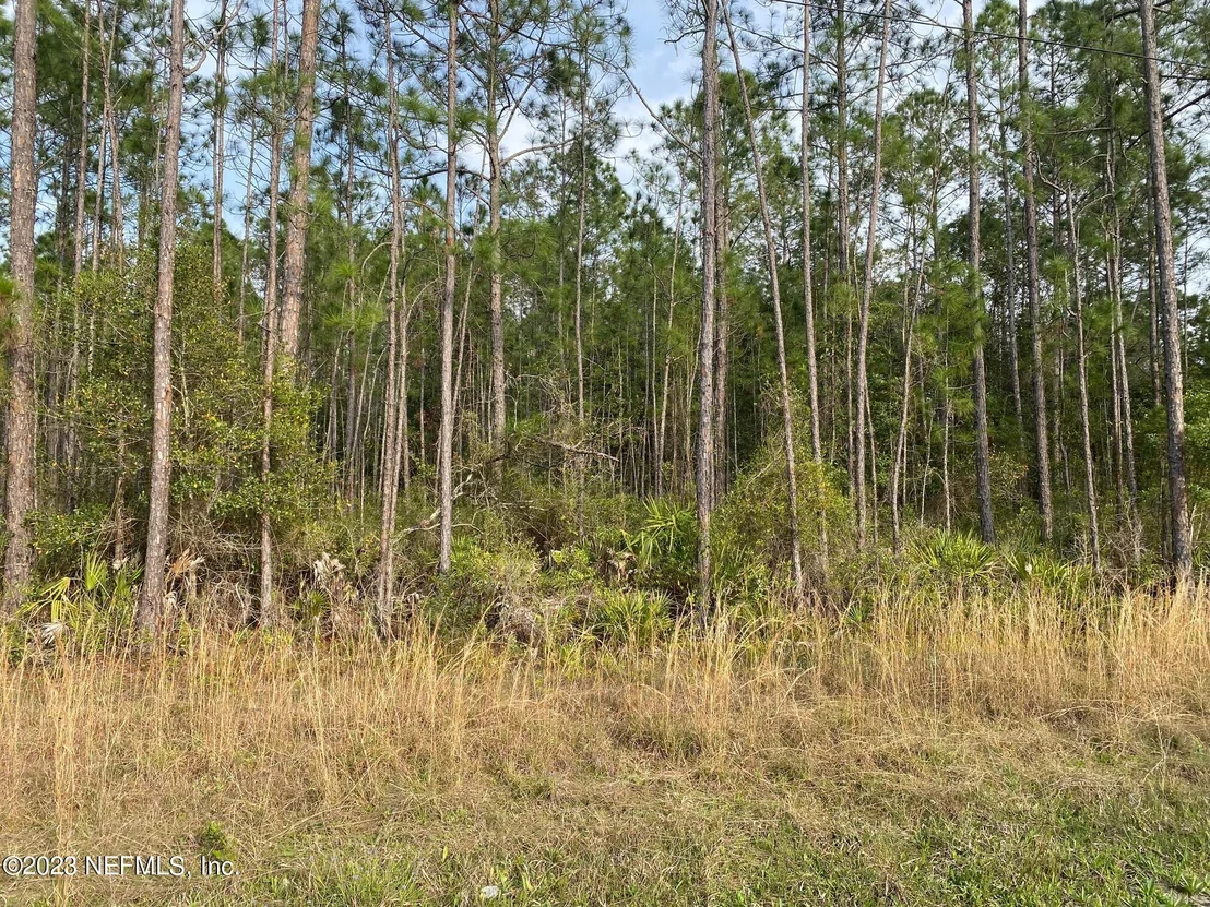 Photo of AAA CR 315