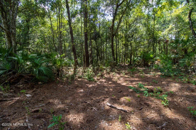 Photo of 4406 LORI LOOP Road